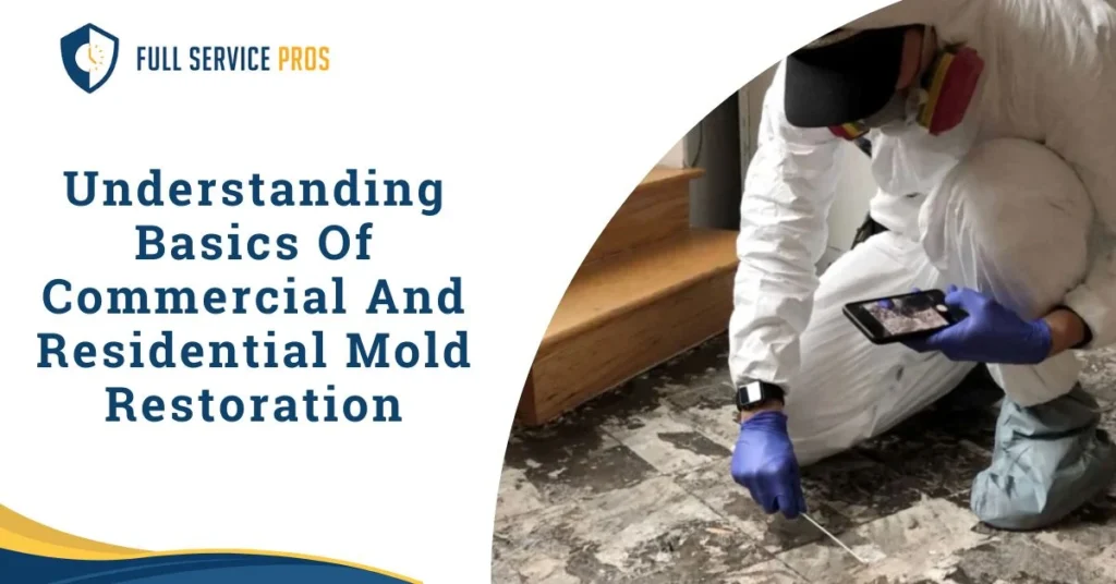 Commercial And Residential Mold Restoration