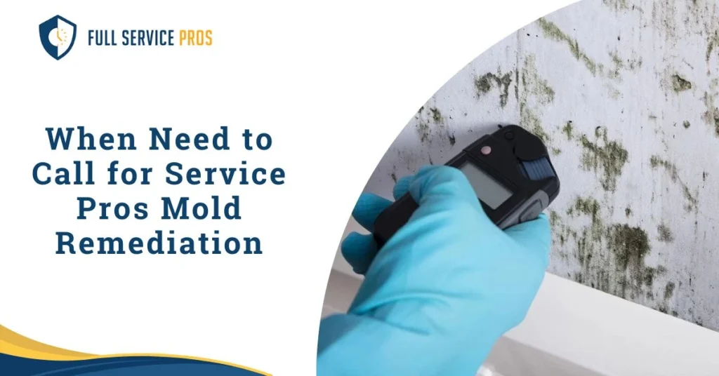 Service Pros Mold Remediation