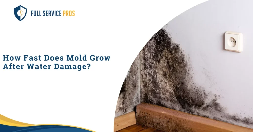 How Fast Does Mold Grow After Water Damage?