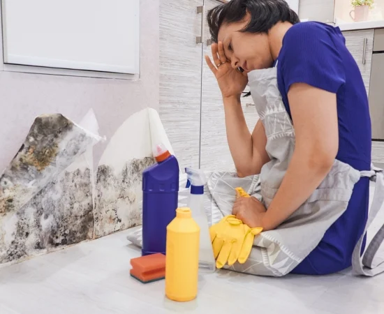 drying water damage services
