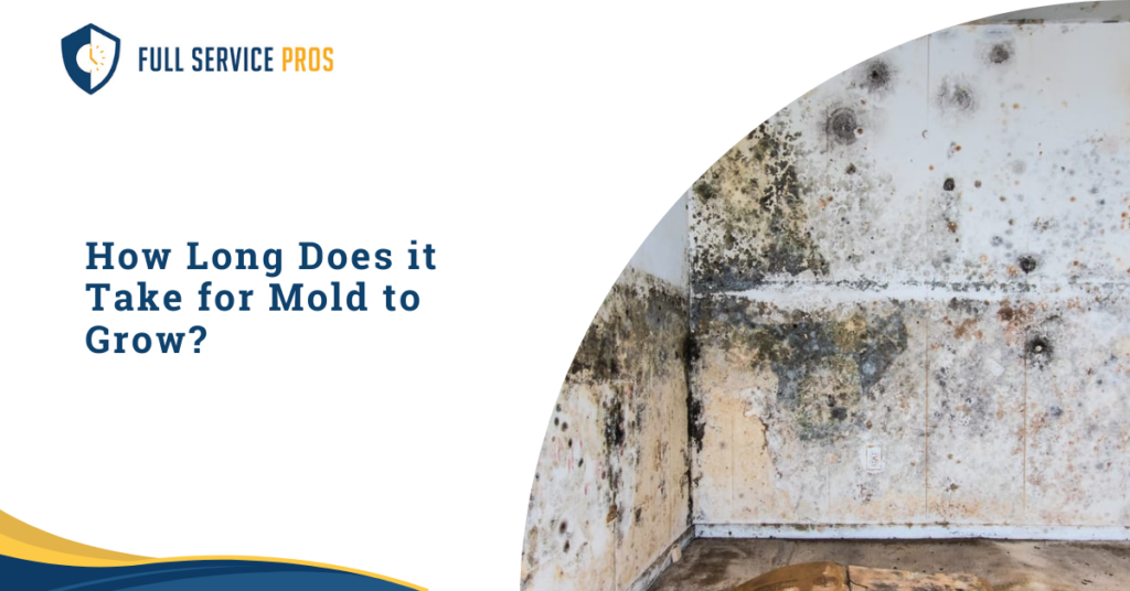 How Long Does it Take for Mold to Grow