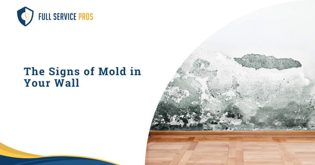 The Signs of Mold in Your Wall