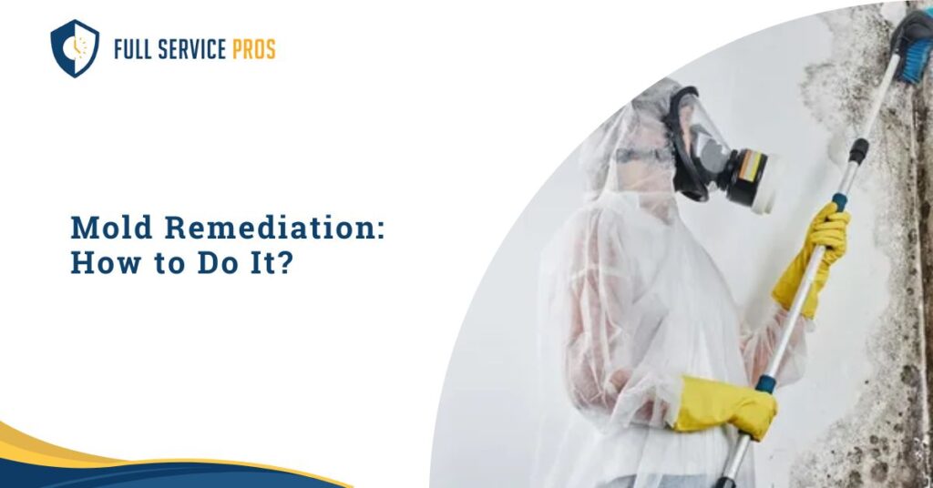 mold remediation services